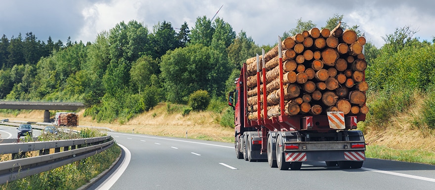 Truck transporting lumber logs